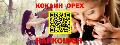гашик Будённовск