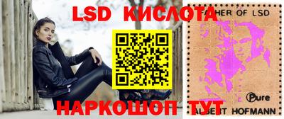 гашик Будённовск