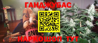 гашик Будённовск