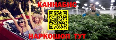 гашик Будённовск
