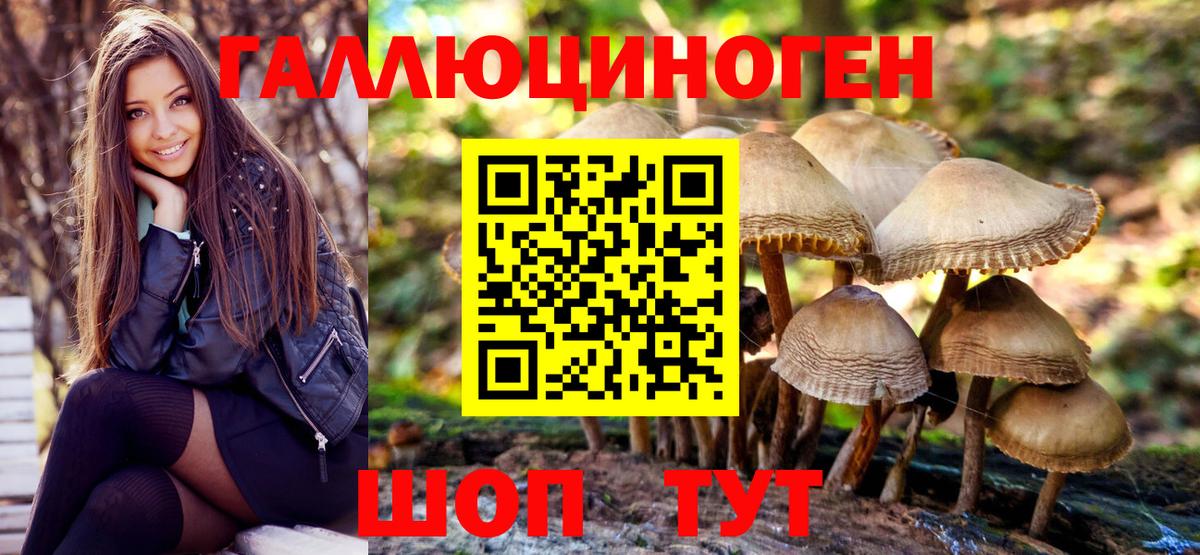 Псилоцибиновые грибы мухоморы  Вход с VPN  Рассказово 