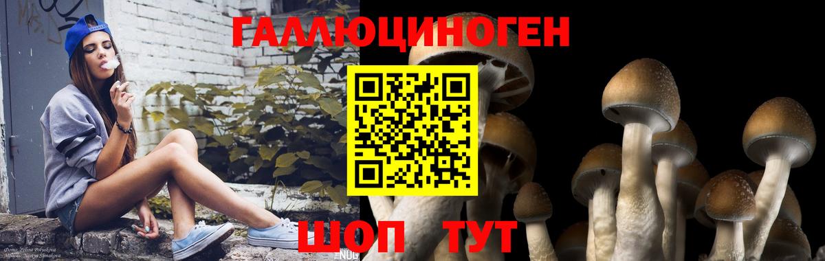 Галлюциногенные грибы GOLDEN TEACHER Рассказово